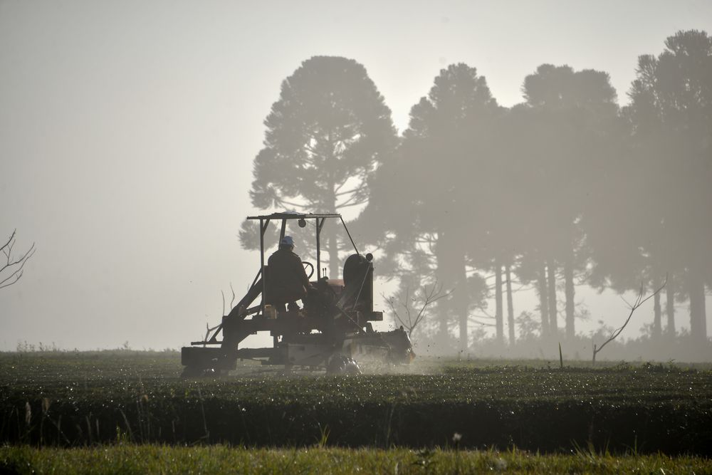 Photograph by Ricardo Kimmich