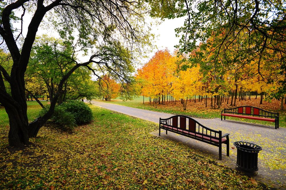 Фотография автора Антип