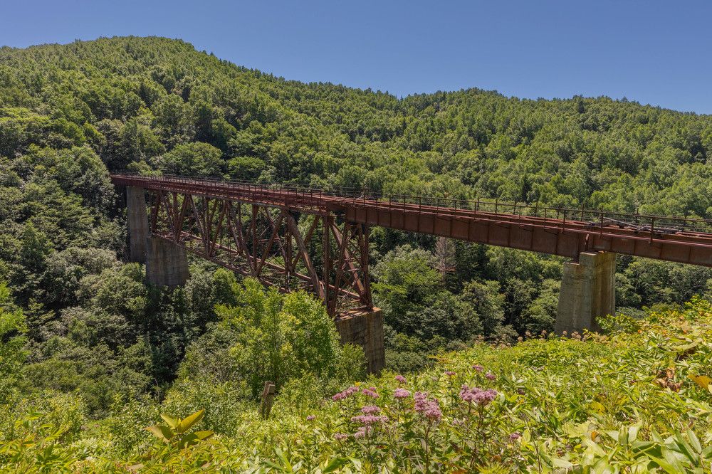 Photograph by Илья Поляк