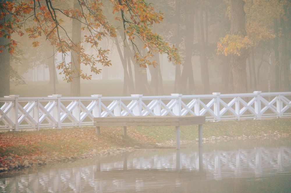 Photograph by Дарья Маркина