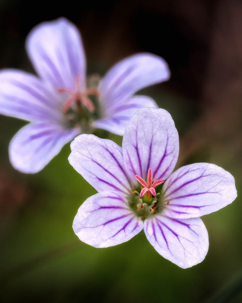 Фотография автора Владимир Зубков