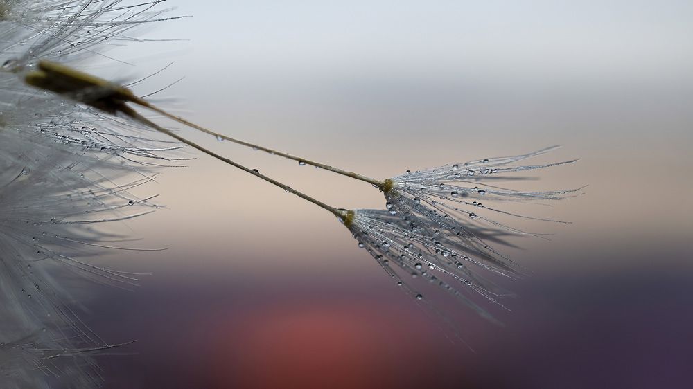 Photograph by Людмила Железнова