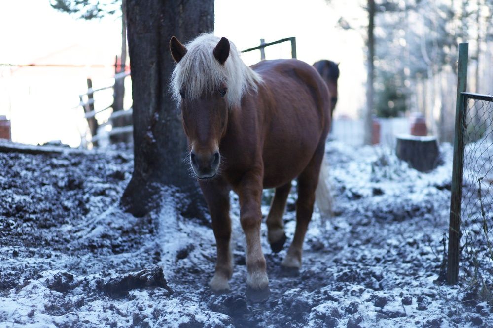 Photograph by Бальзирова Наталья