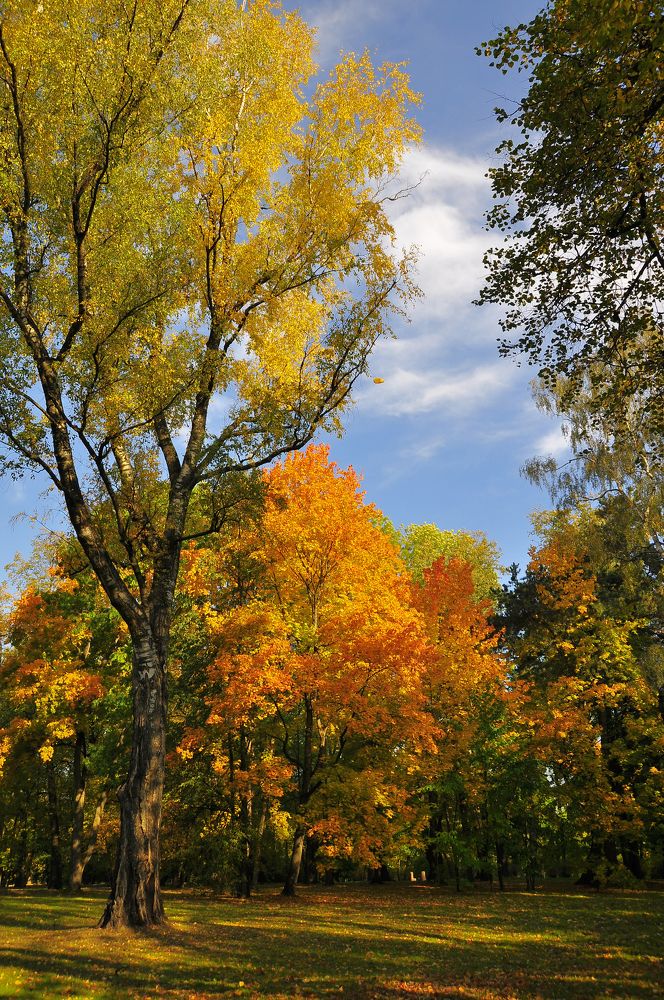 Фотография автора Антип