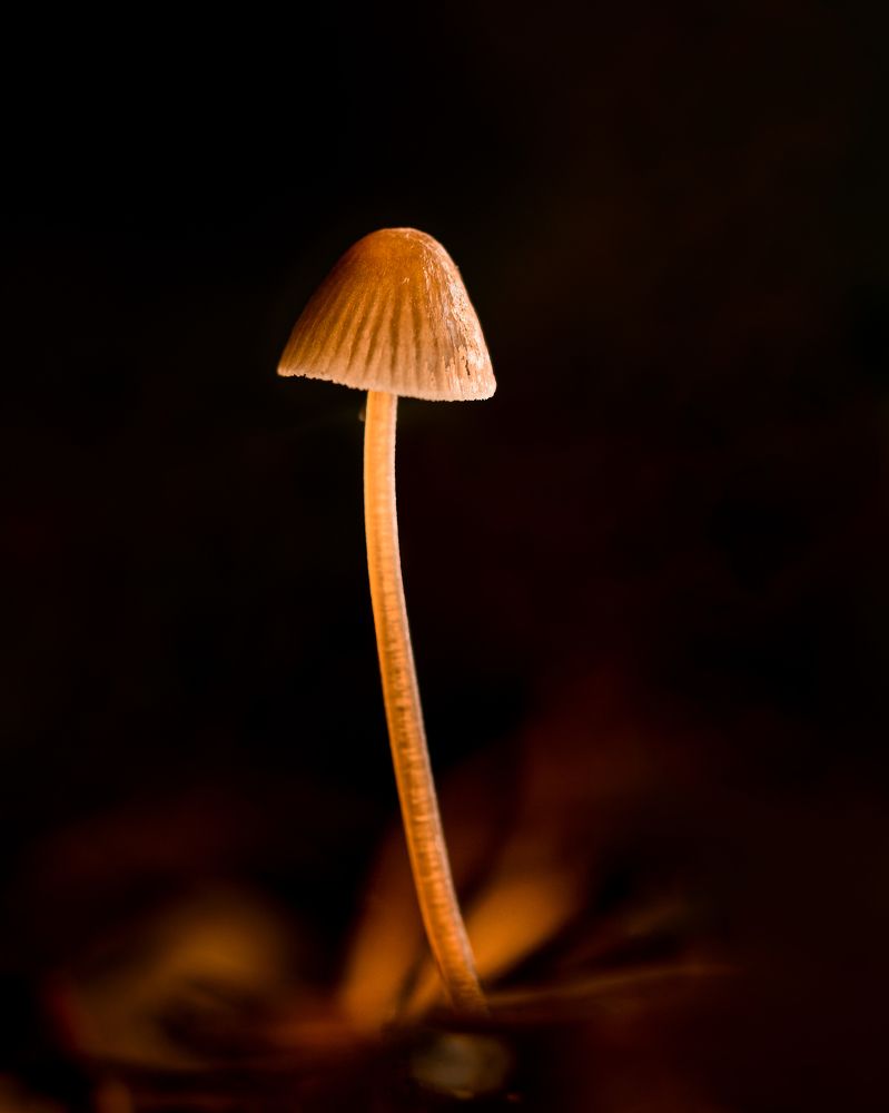 Фотография автора Владимир Зубков