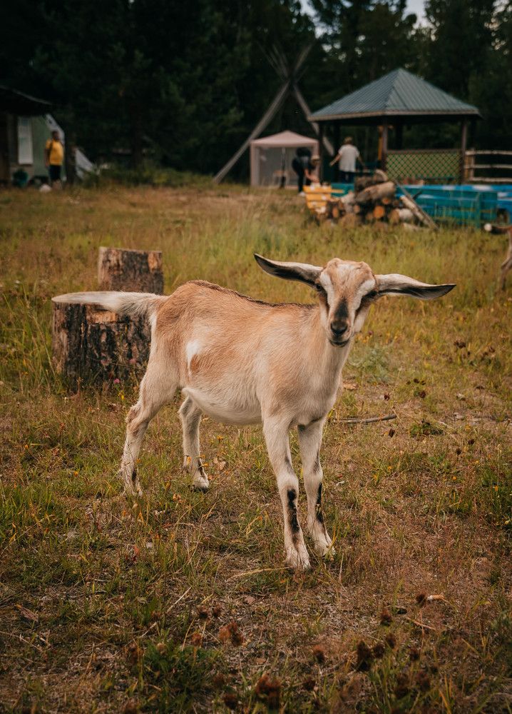 Фотография автора Яврова Татьяна