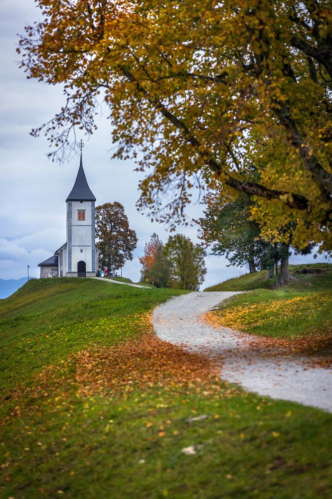 Фотография автора Ioana Crisan