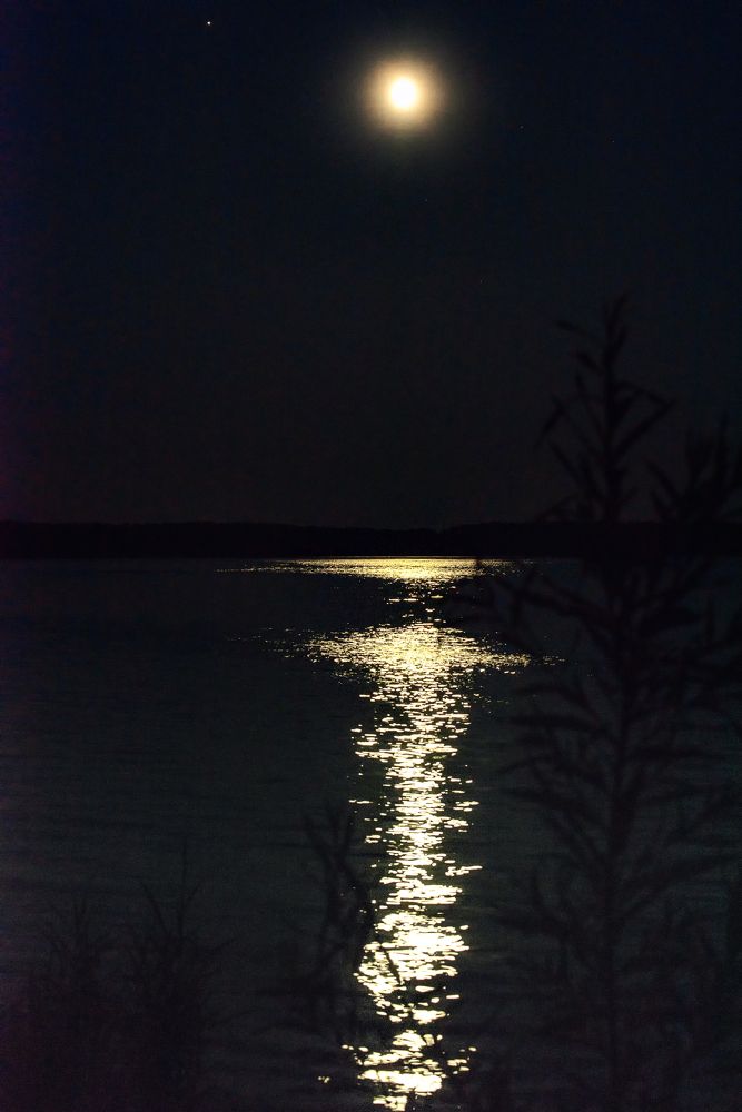 Фотография автора Владимир Зубков