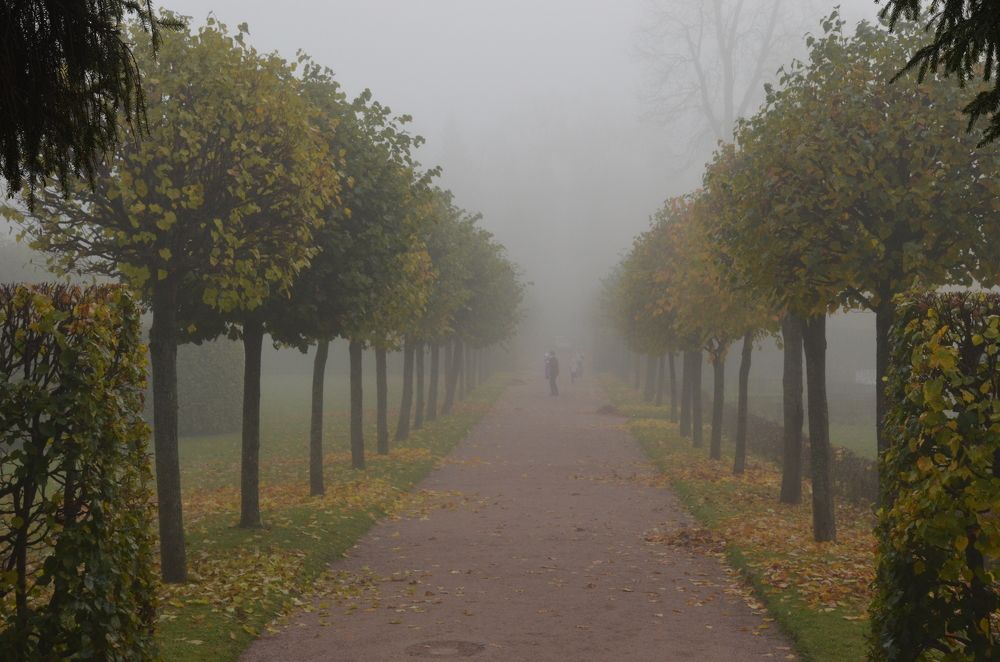 Photograph by Харис Шахмаметьев