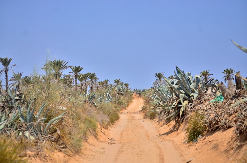 Photograph by houcine ben doukhan