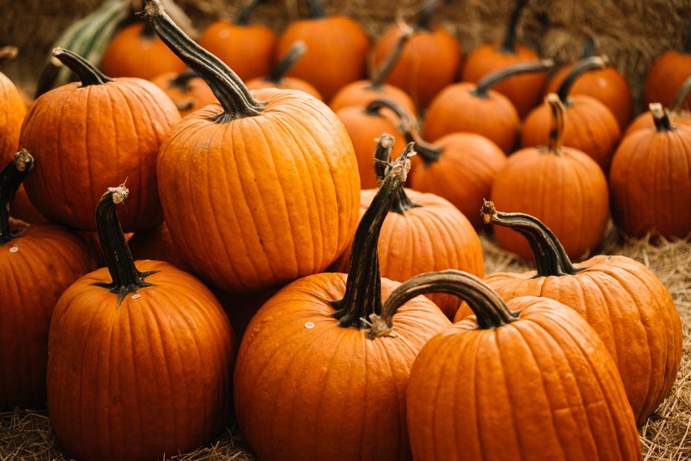 Photograph by Anna Vlasova