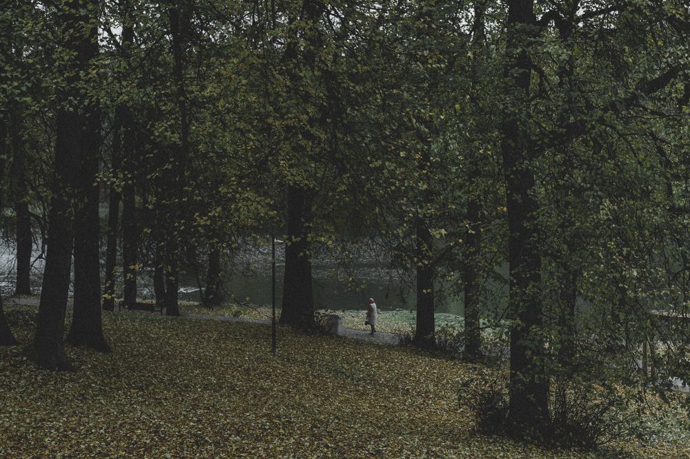 Photograph by Татьяна Овчинникова