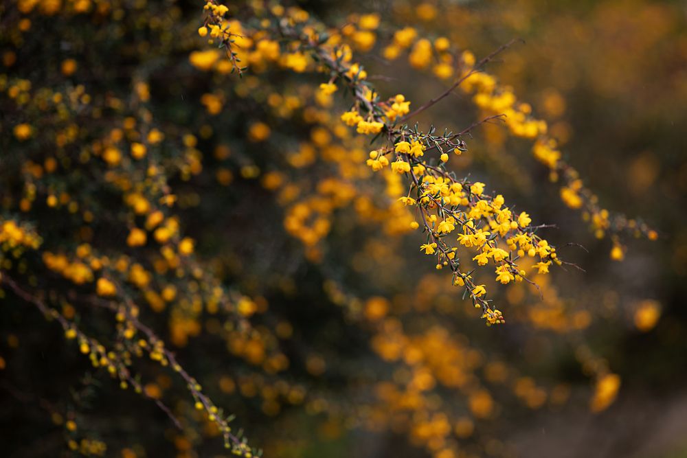 Photograph by Анастасия