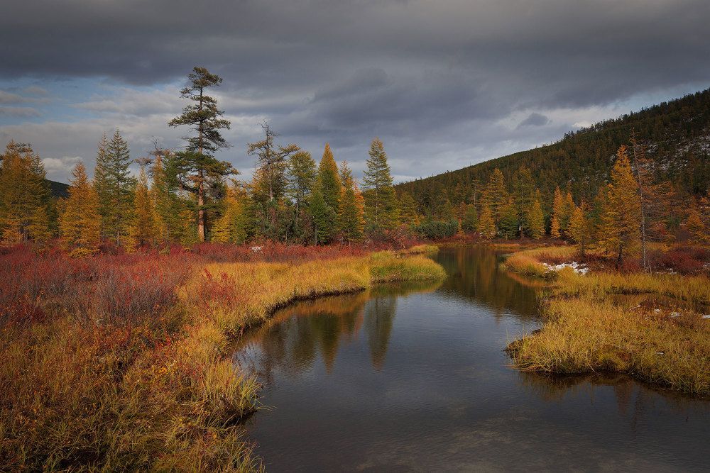 Photograph by Морозов Сергей