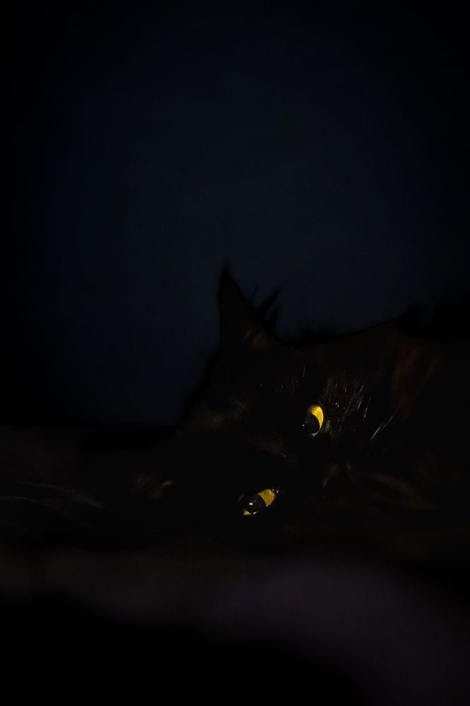 Photograph by Александр Купцов