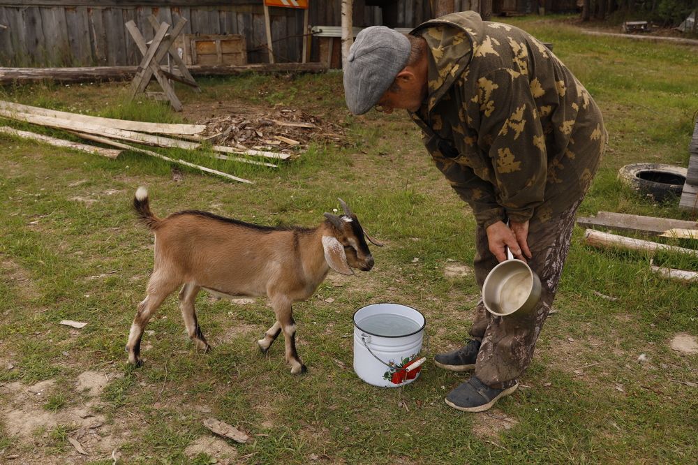 Фотография автора Яврова Татьяна