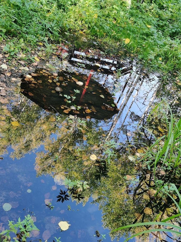 Photograph by Наталья Круглова