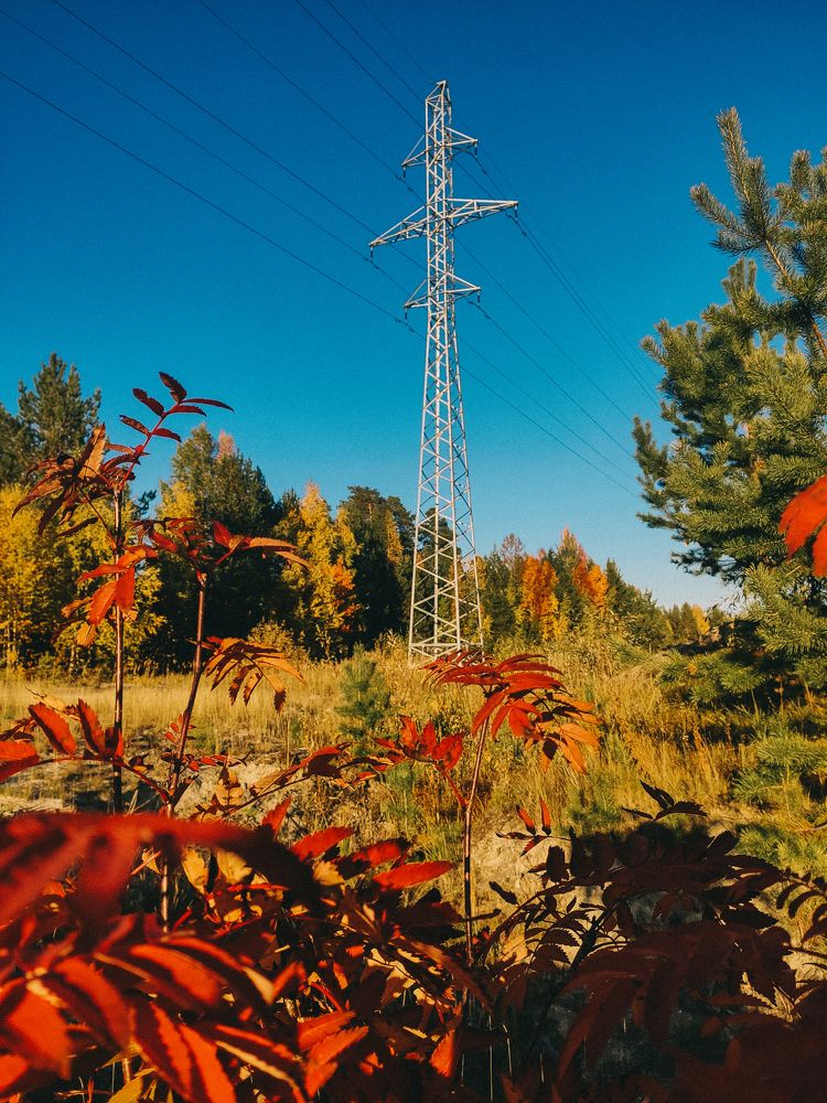 Photograph by Ольга Владимировна