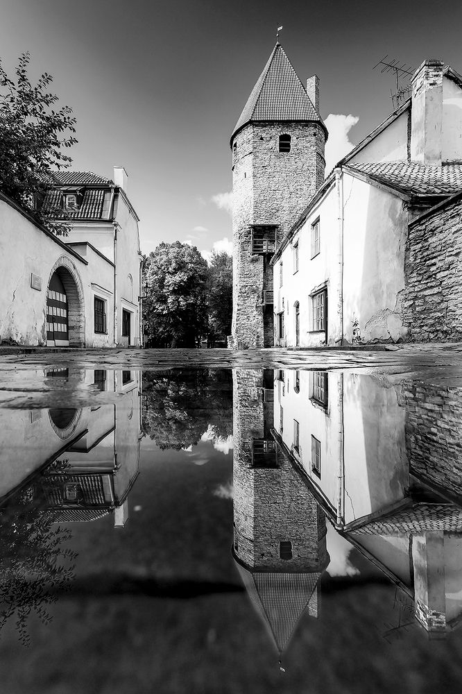 Photograph by Александр Абросимов