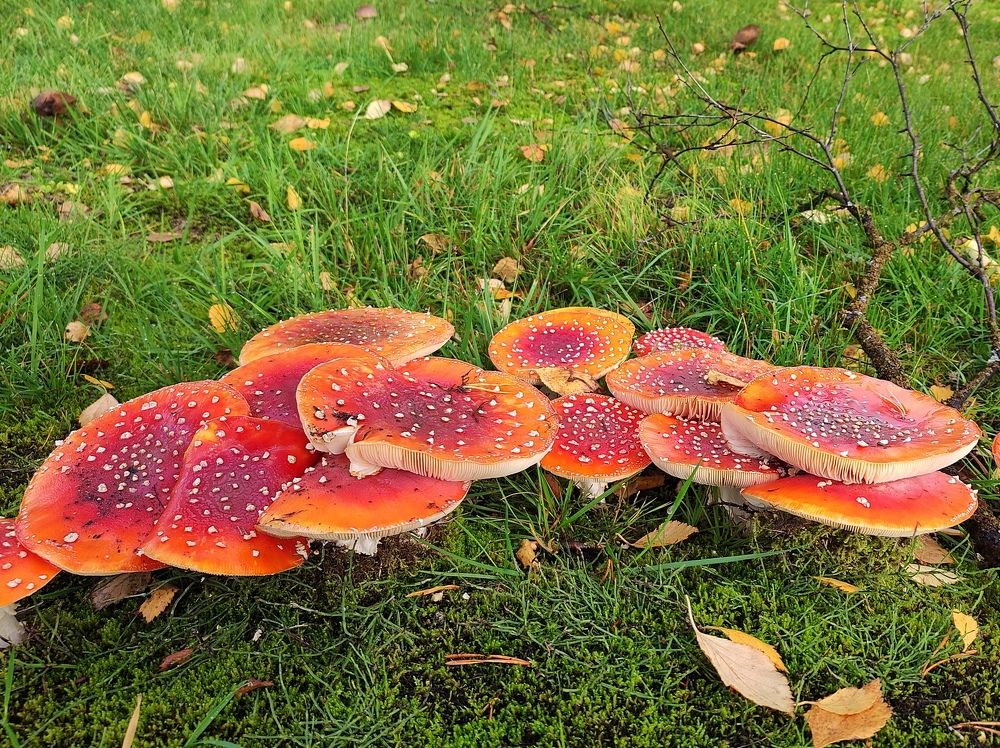 Photograph by Radu Marian