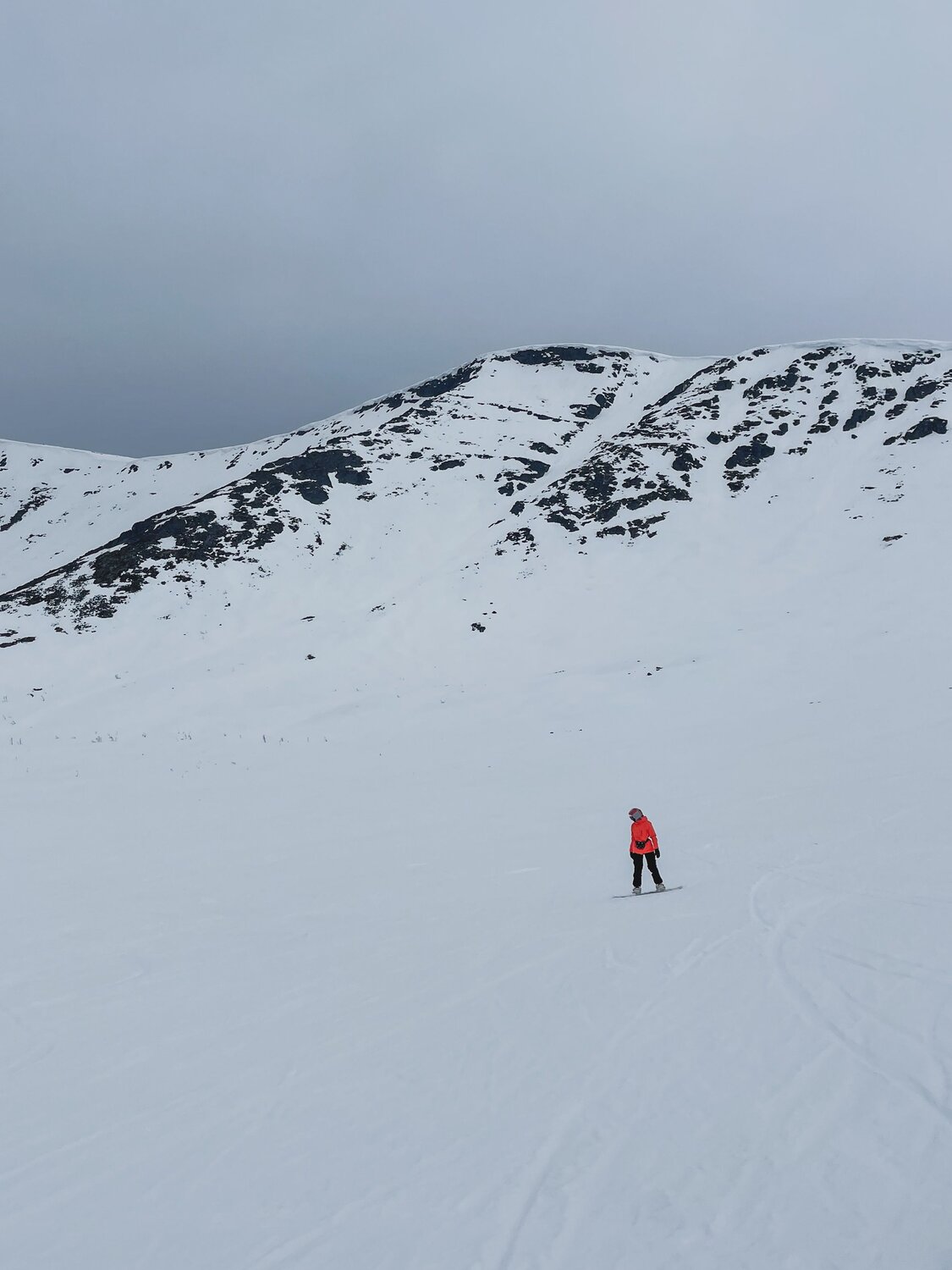 Photo #9569878