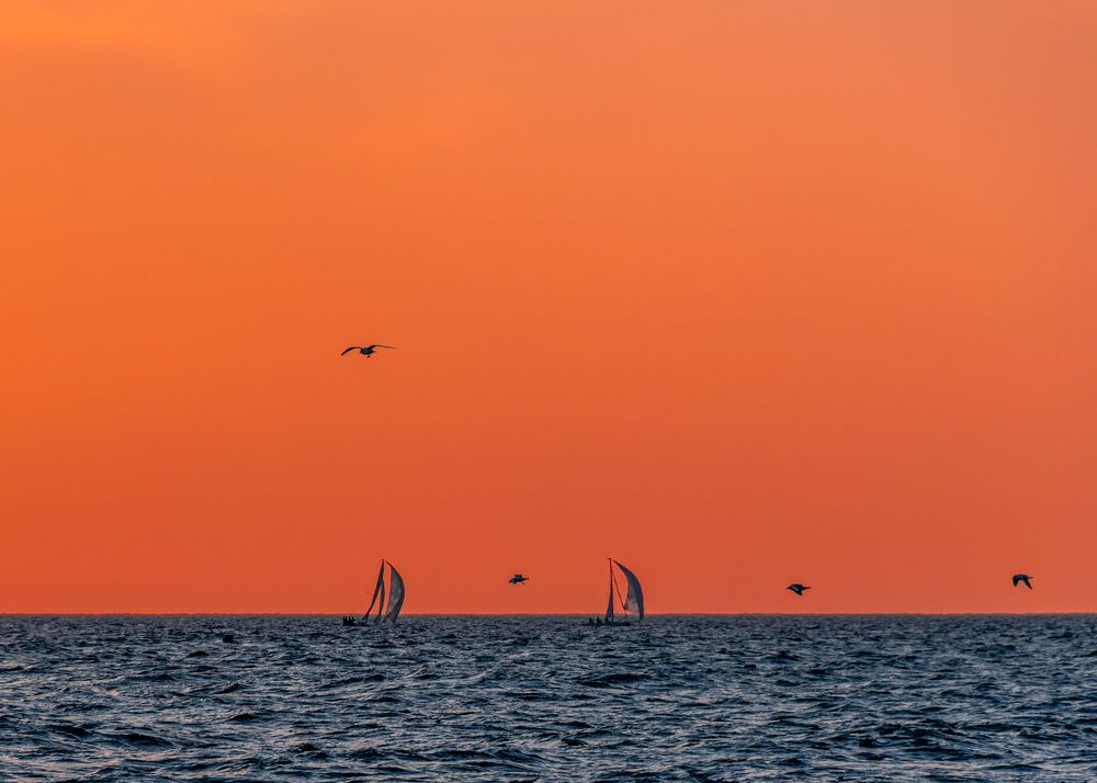 Photograph by Роман Ливенсон