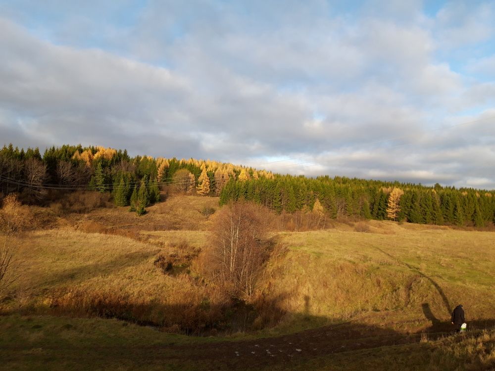 Осень в деревне.