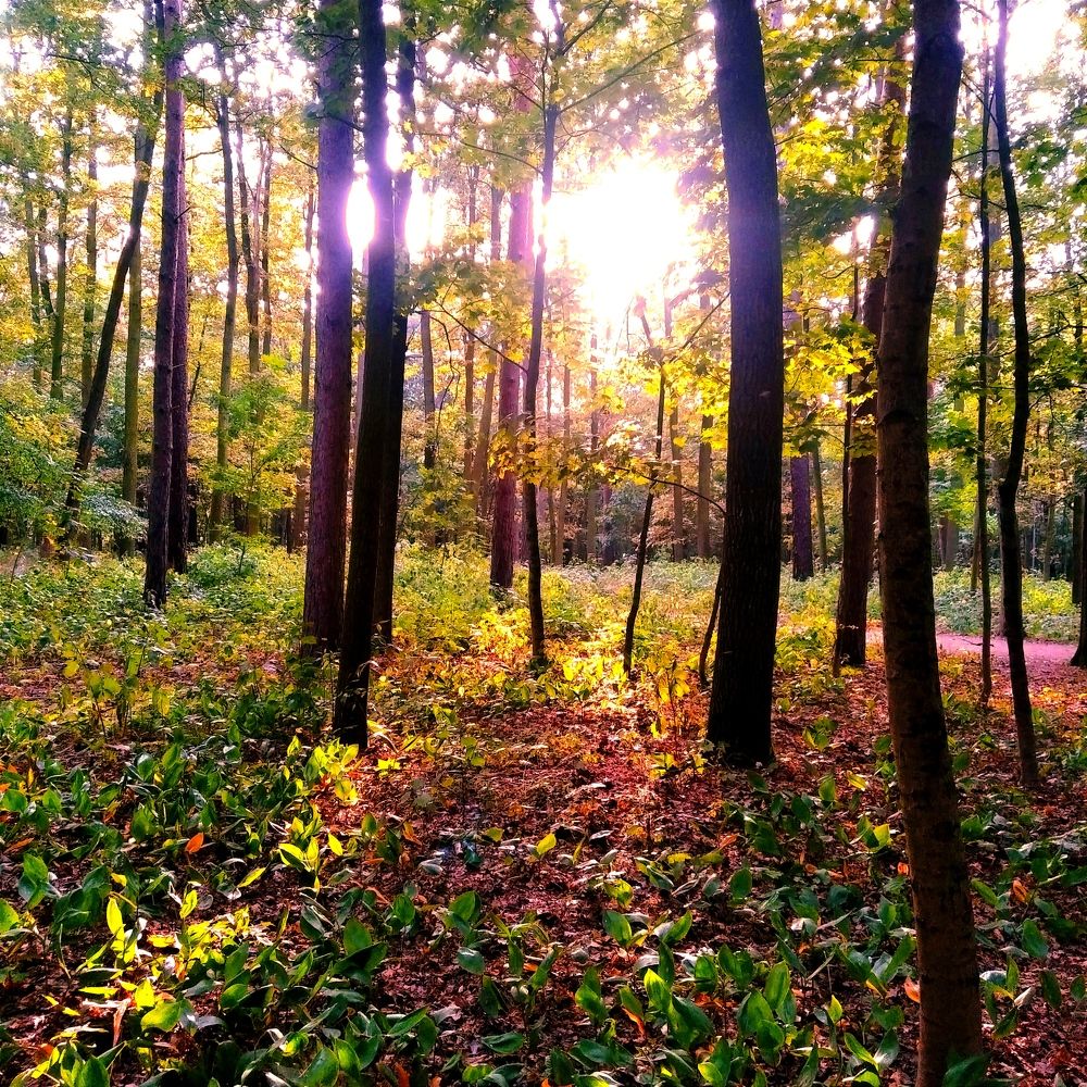 Фотография автора Jindřiška Kučerová