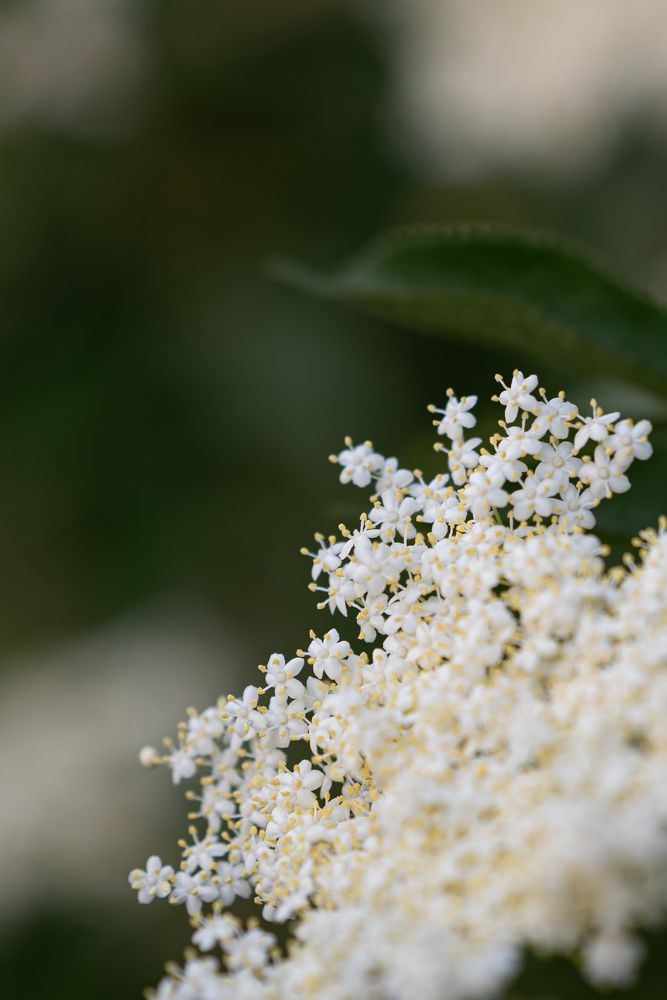 Photograph by Анастасия