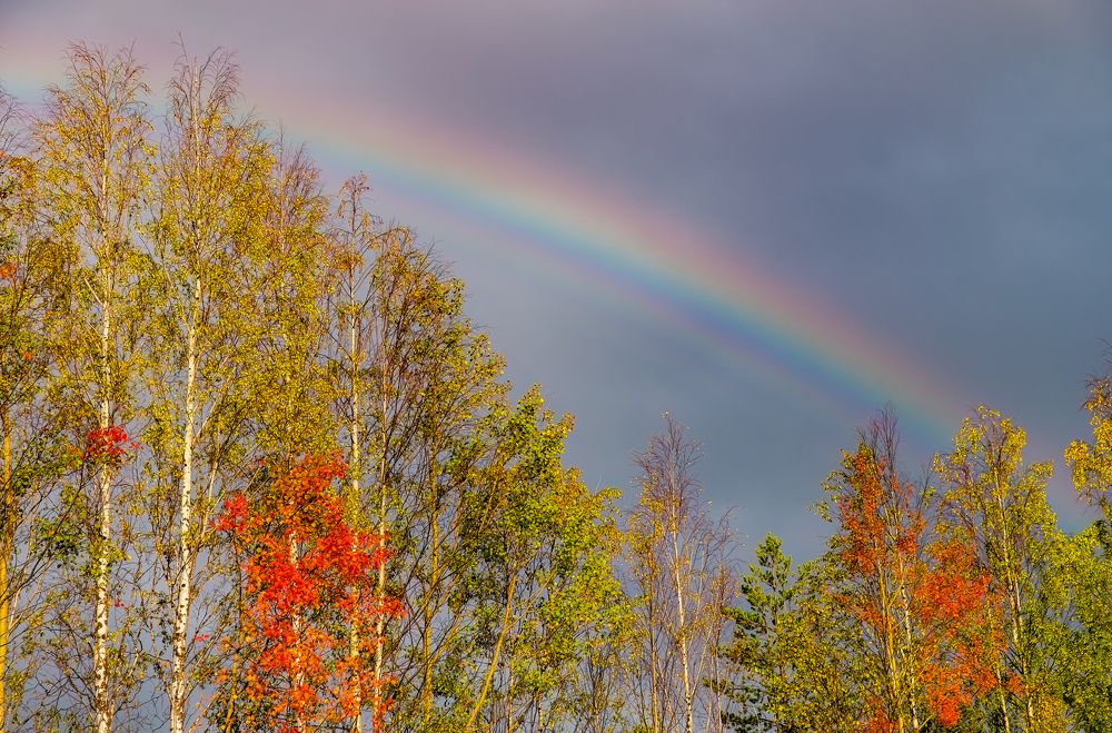 Осенняя радуга