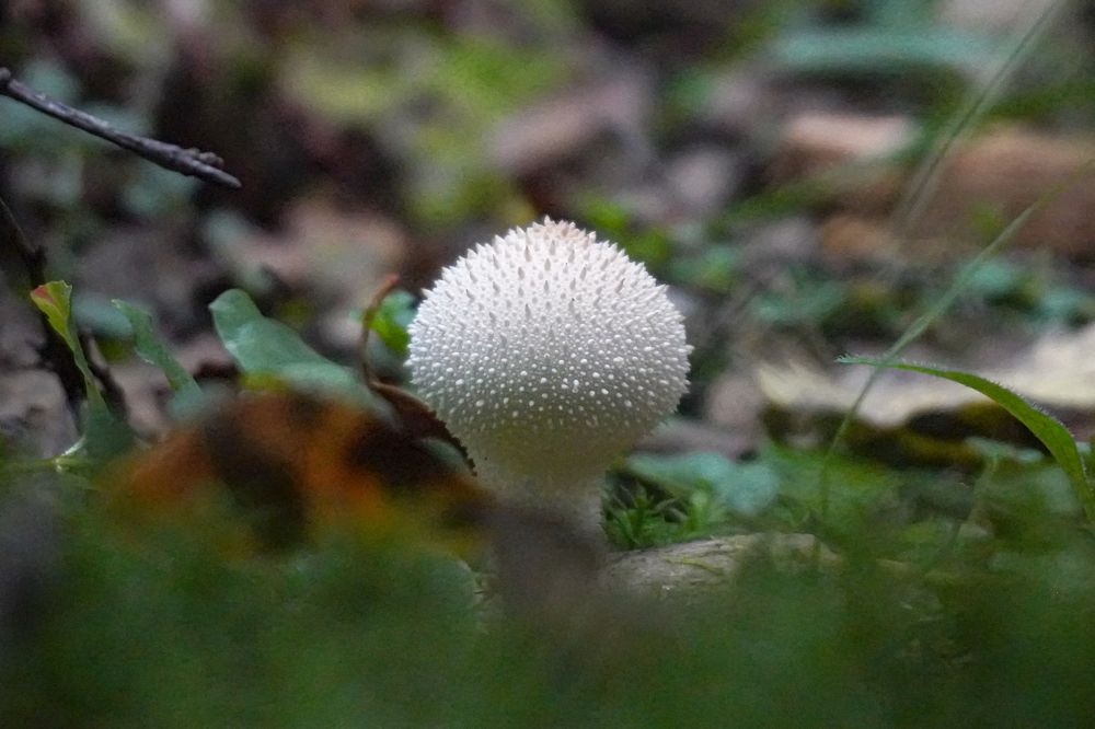 Photograph by Алфия Бугакова