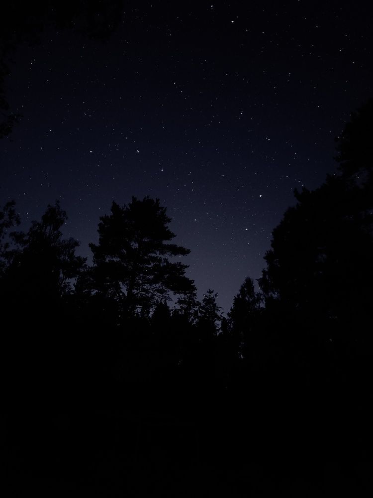 Photograph by Некрасов Иван