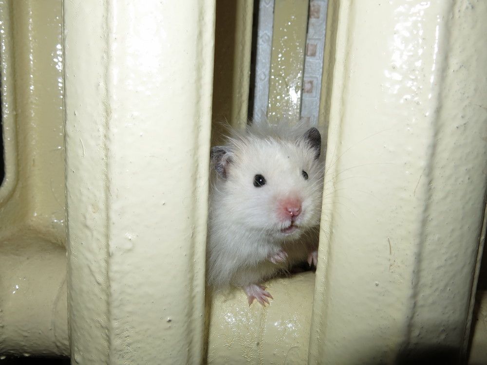 Photograph by ЭЛЬМИРА  ИСМАИЛОВА