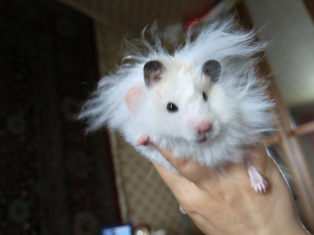 Photograph by ЭЛЬМИРА  ИСМАИЛОВА