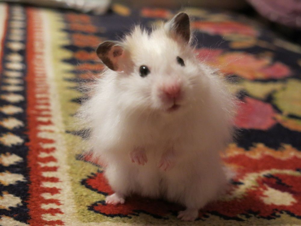 Photograph by ЭЛЬМИРА  ИСМАИЛОВА