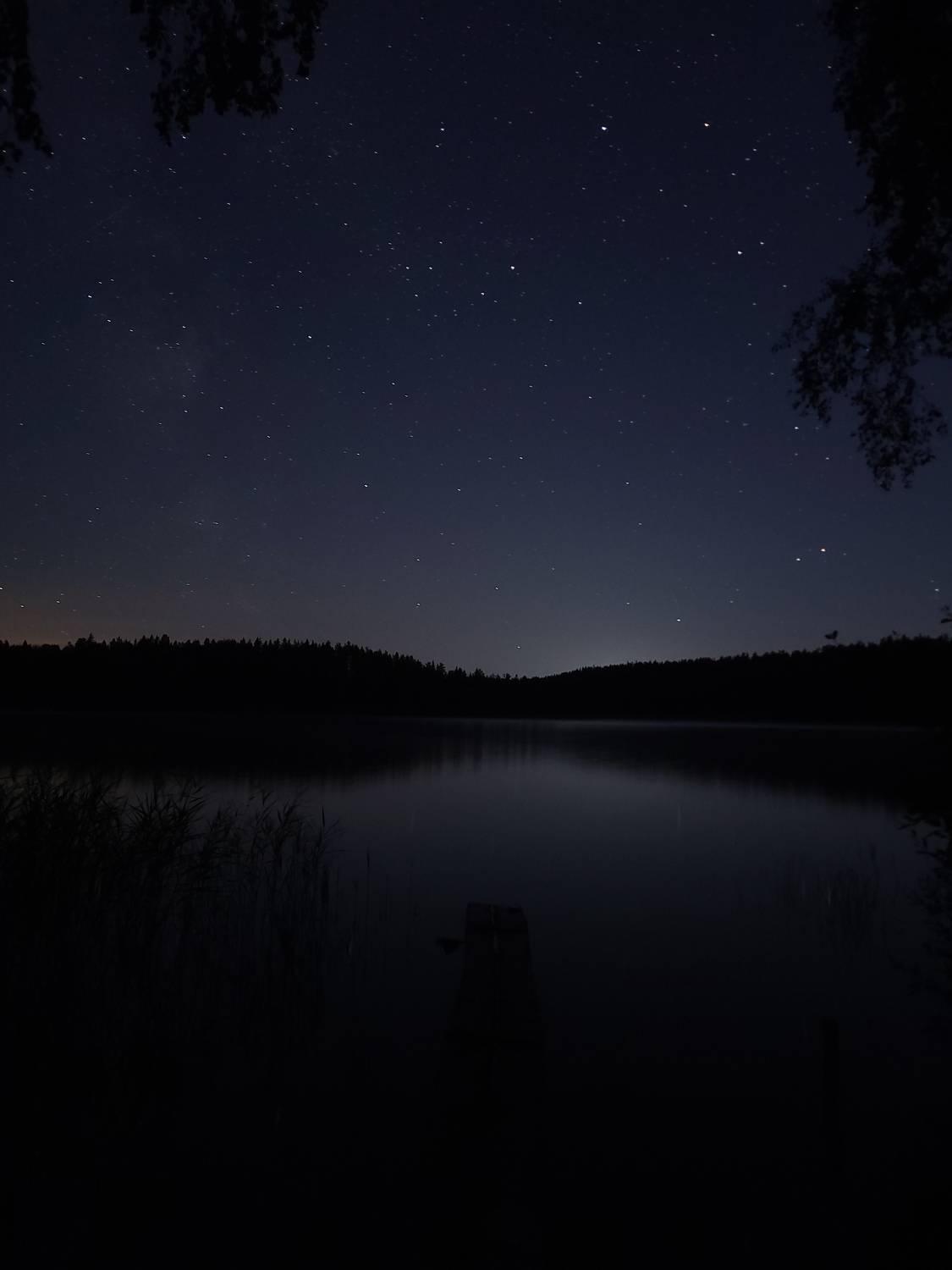 Photo #9570030