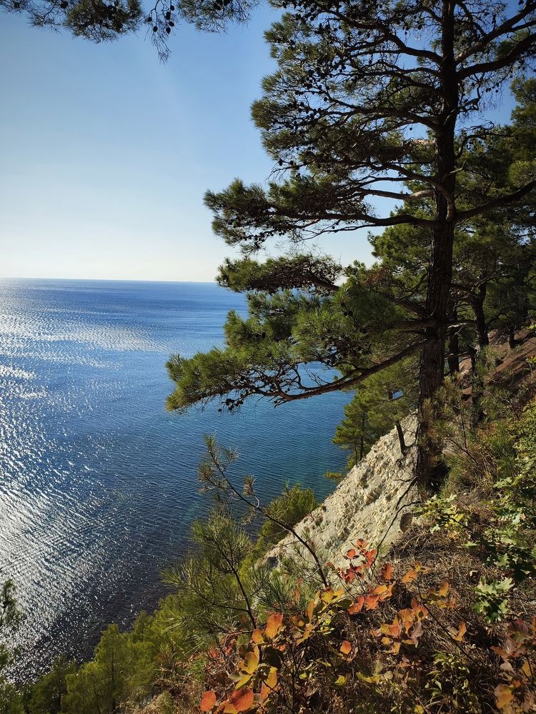 Photograph by Владимир Вялков