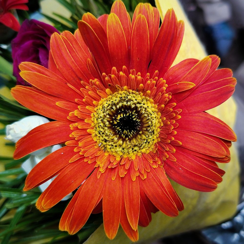 Photograph by Kunwar Krishna Rajput