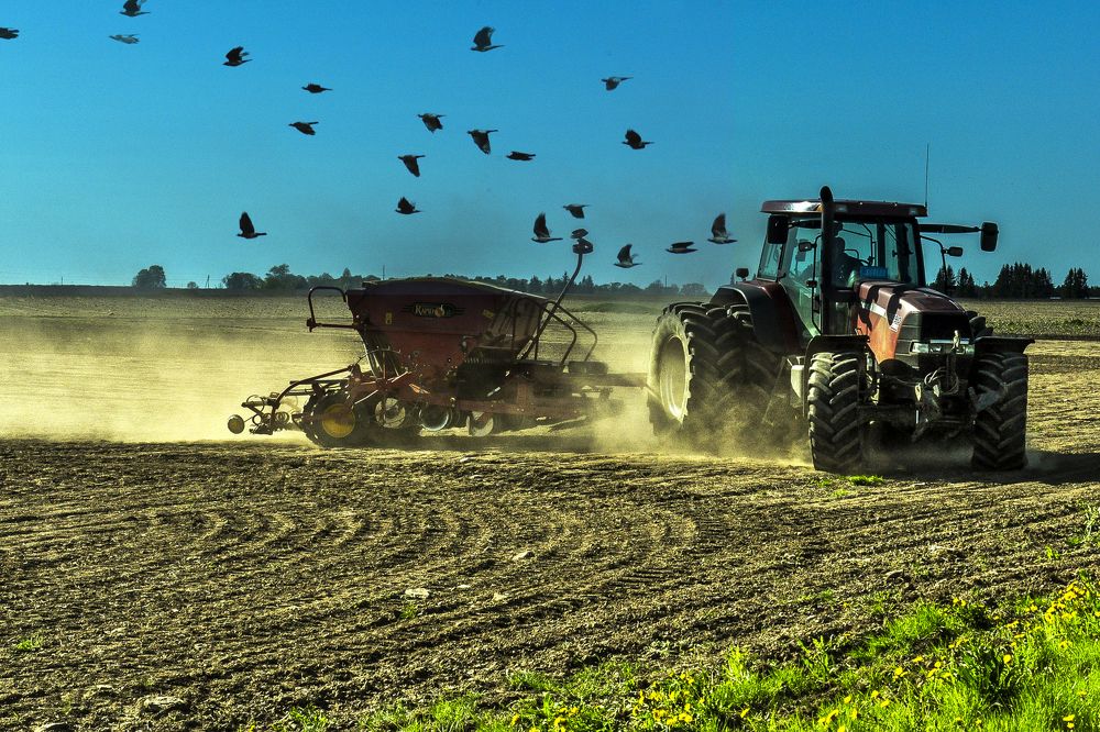 Весенний сев