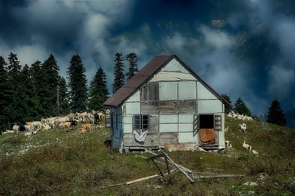 Фотография автора Александр Вольхин