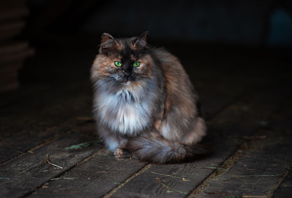 Photograph by Екатерина Лебедева