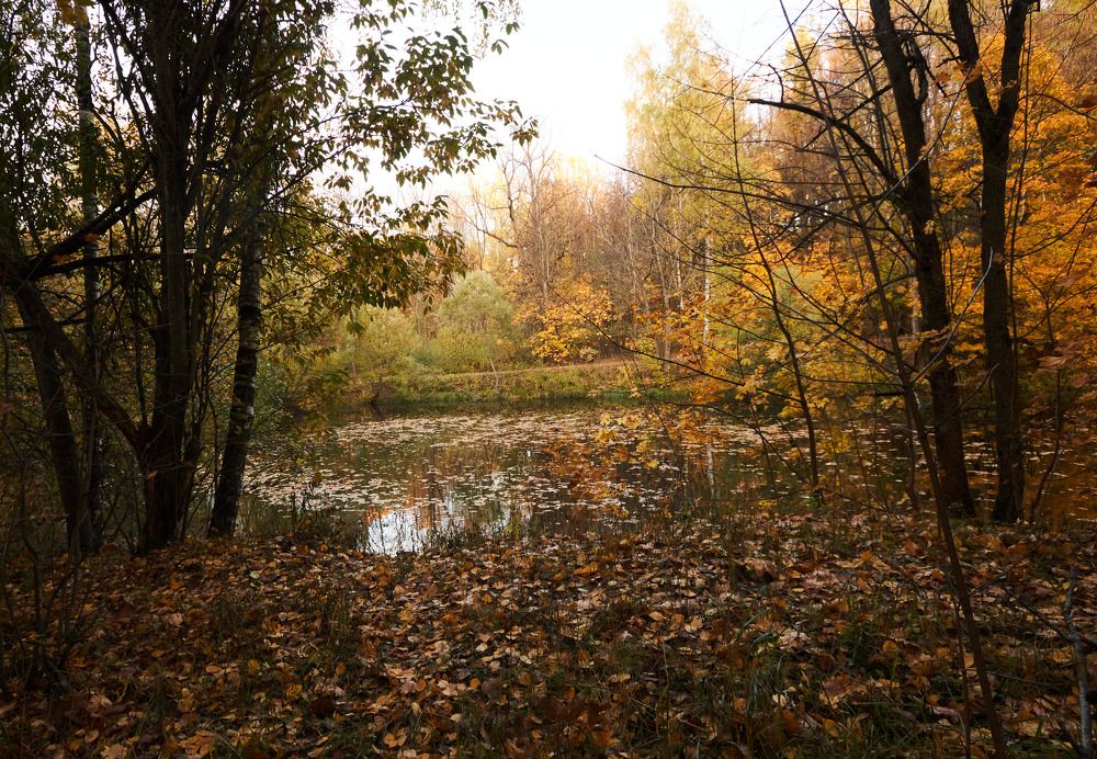 Photograph by Inna Tatarchenko