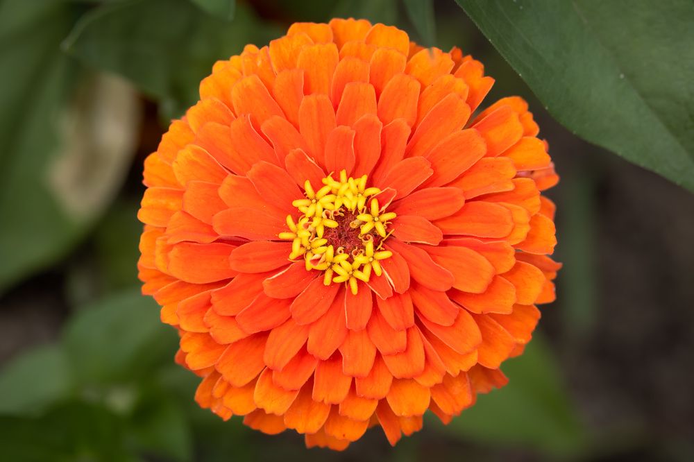 Фотография автора Erik Nelson