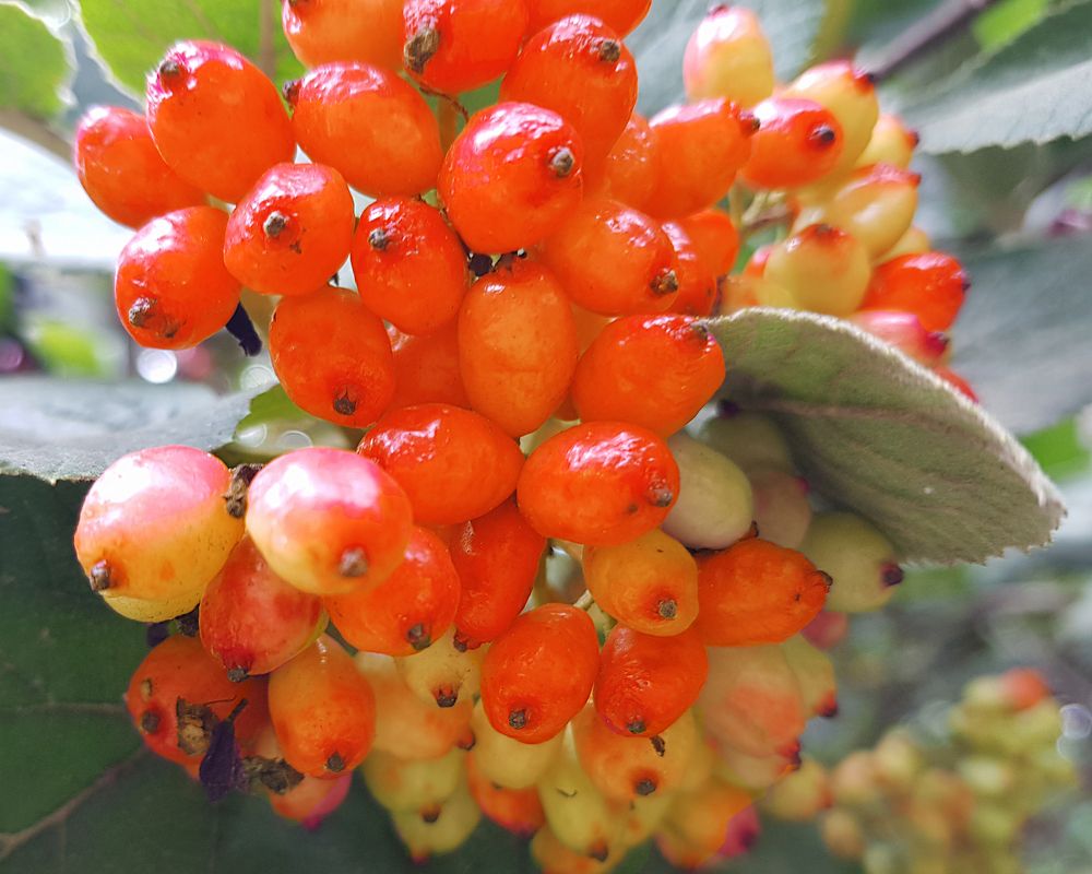 Photograph by Nataliya Kalinina