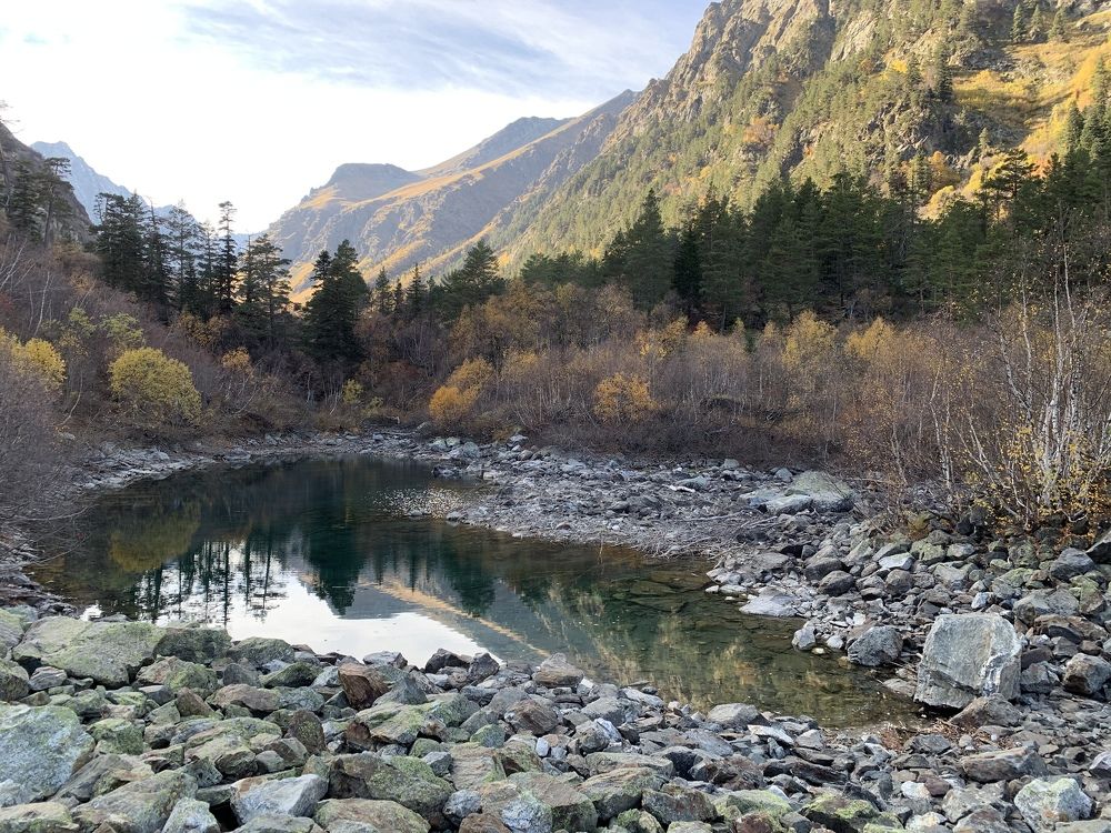 Photograph by Лариса