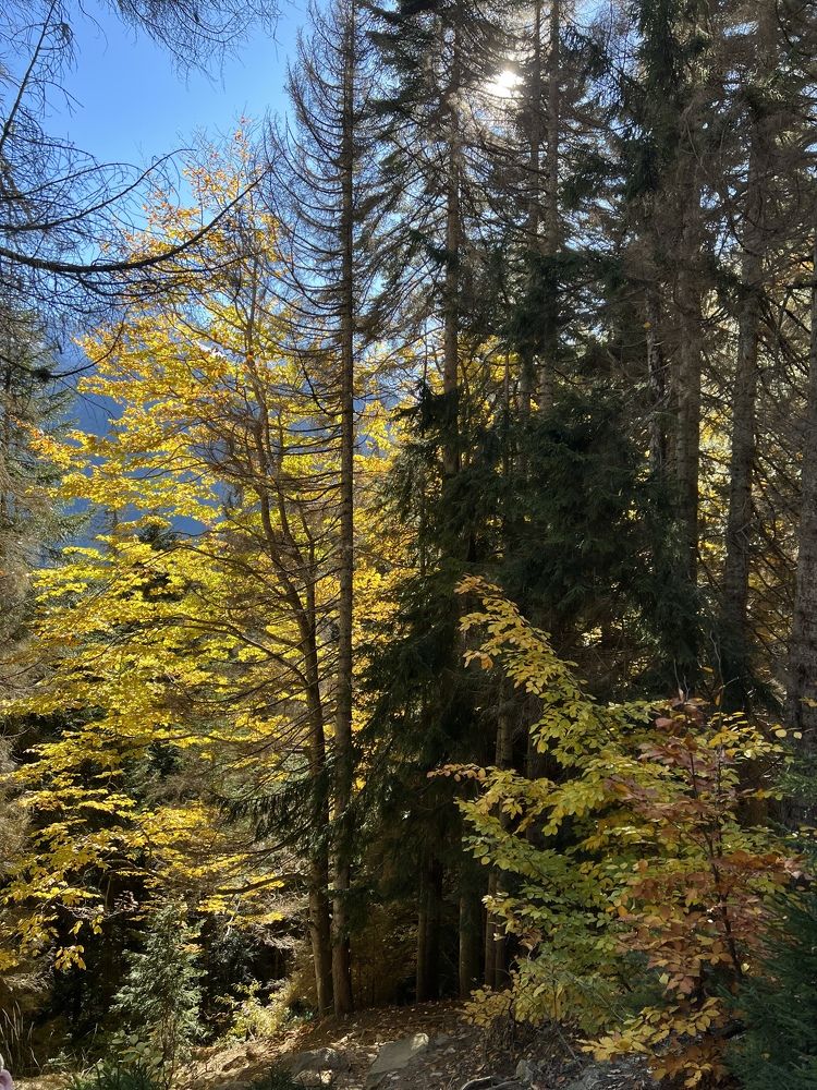 Photograph by Лариса