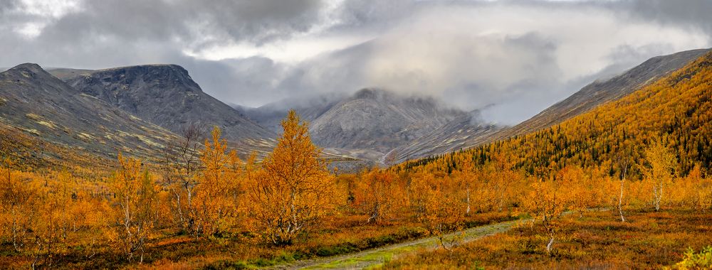 Photograph by Алексей Фрилунд