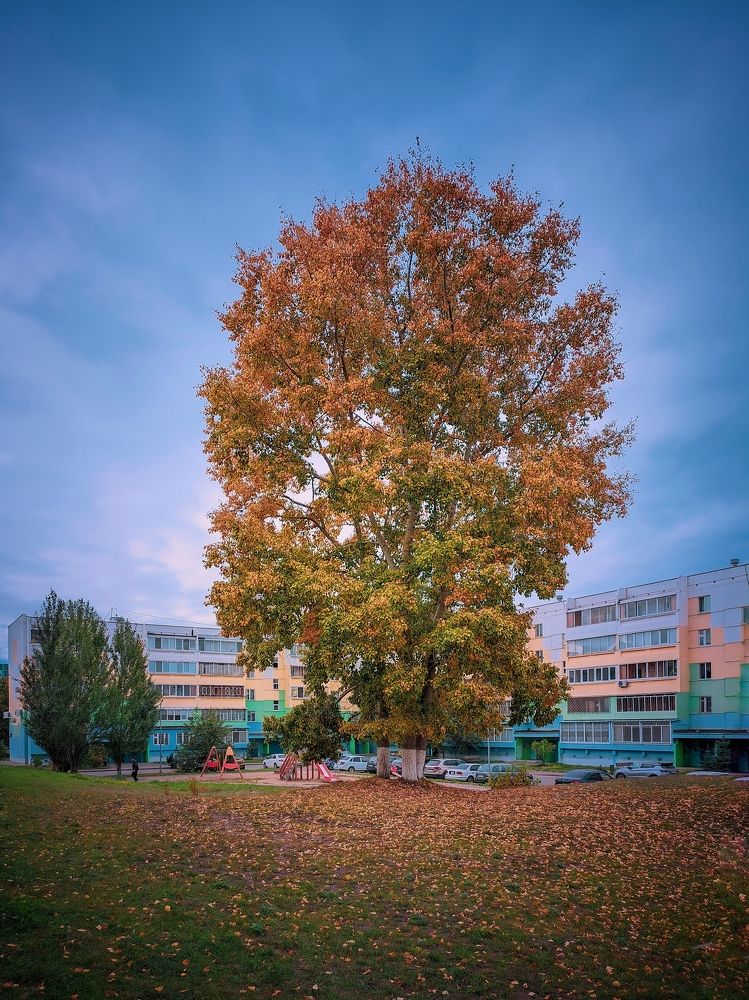 Photograph by Олега Тор