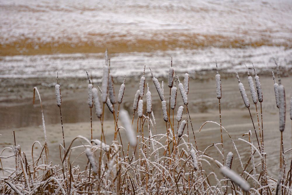 Photograph by Алфия Бугакова