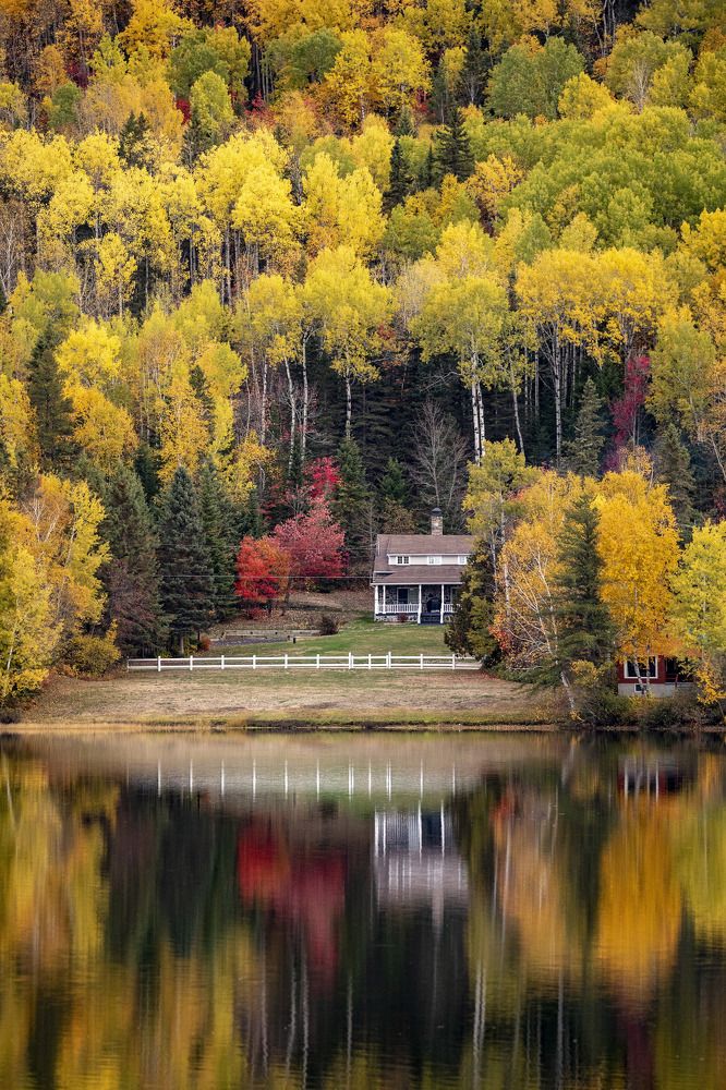 The house by the lake